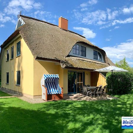 Puddemin Familienfreundliches Reetdachhaus Weissdorn 2 빌라 외부 사진